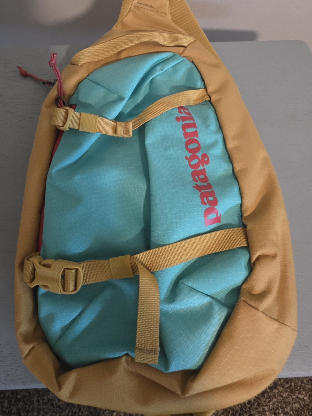 Patagonia Women's Teal and Mustard Sling Bag